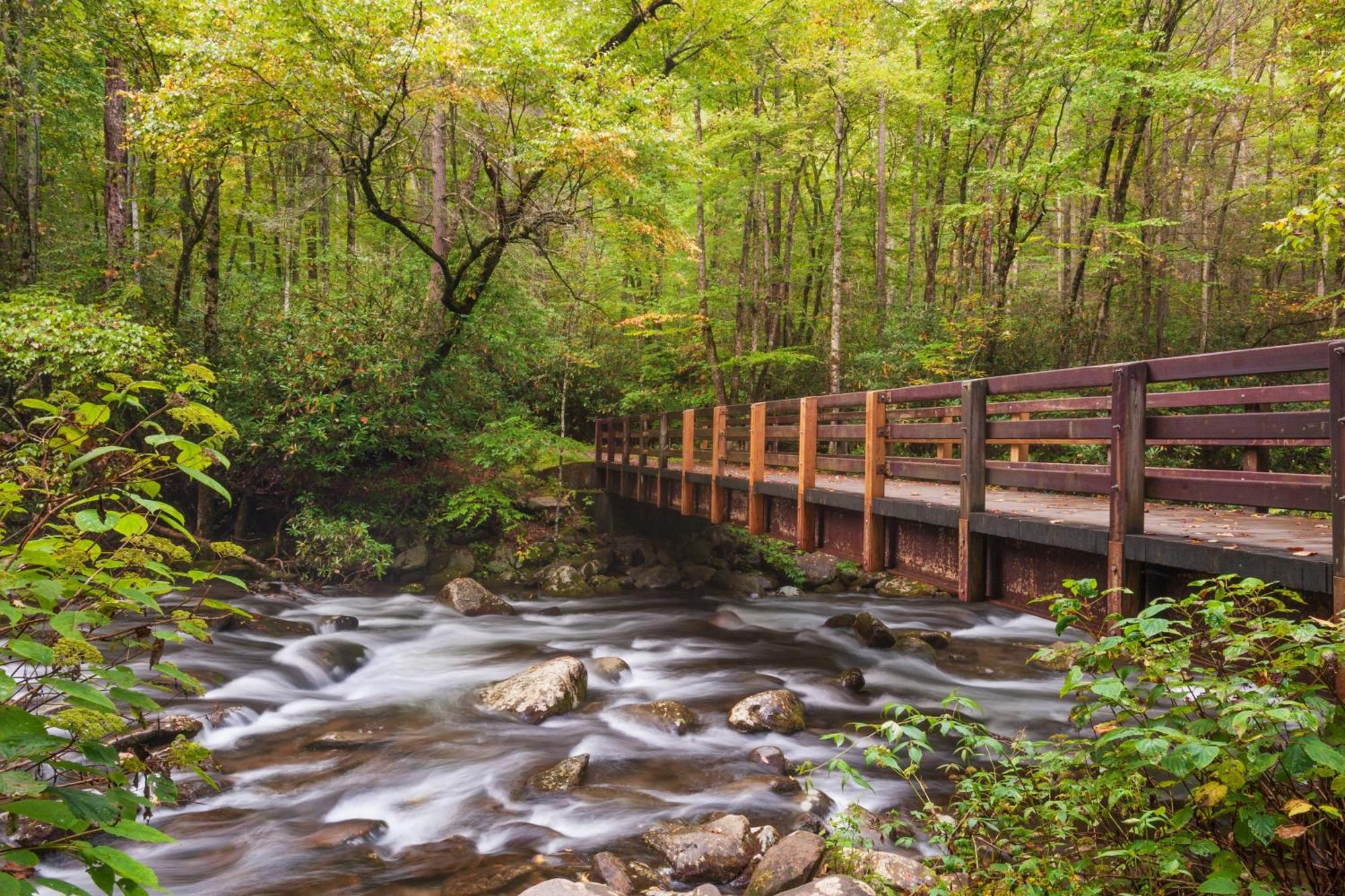 Highland Dream, Hot Tub, 1089 Free Tickets Each Paid Day, Dollywood And More Sevierville Eksteriør bilde